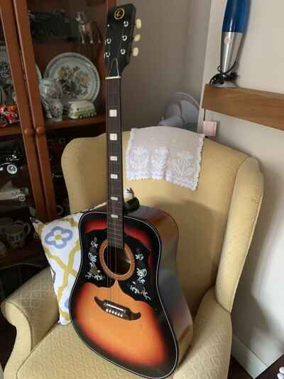 Vintage Guitar