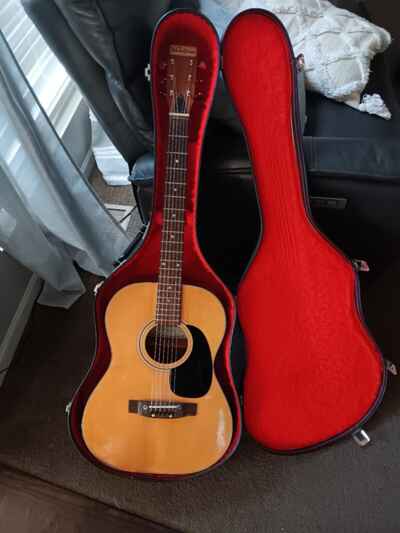 ventura acoustic guitar