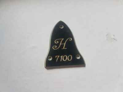 1975 HOYER 7100 GUITAR TRUSS ROD COVER