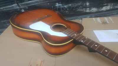 EKO RANCHERO STEEL STRING