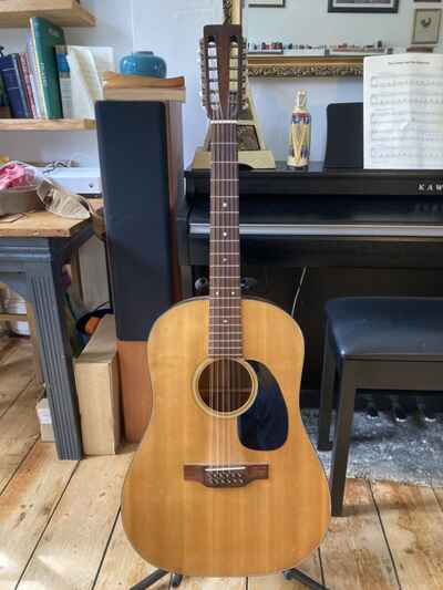 martin D12-20 12 string guitar 1969