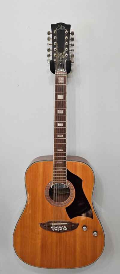Vintage Eko Rio Bravo 12 string 1975 - Acoustic Electric Plus Set Of New Strings