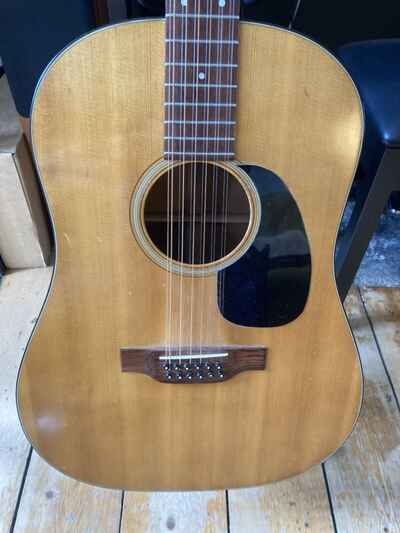 Vintage Martin 12 string  guitar 1969