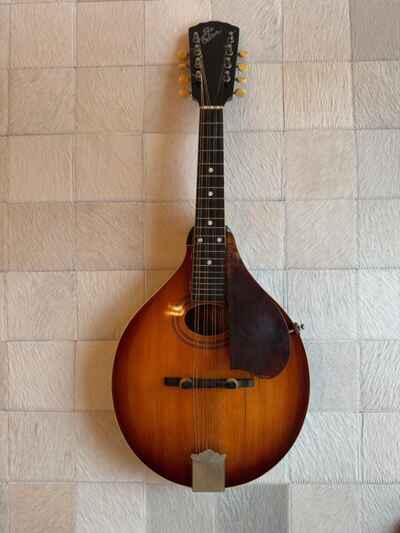 Vintage 1920 Gibson A2 Oval Hole Mandolin ??The Gibson??