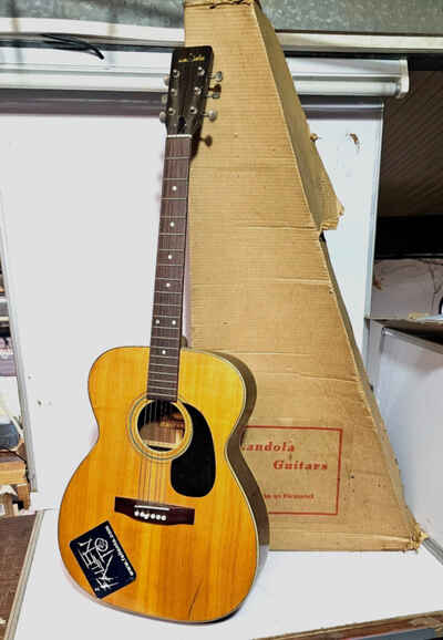 Vintage Landola Buffalo V-71 (Martin Style) 1960