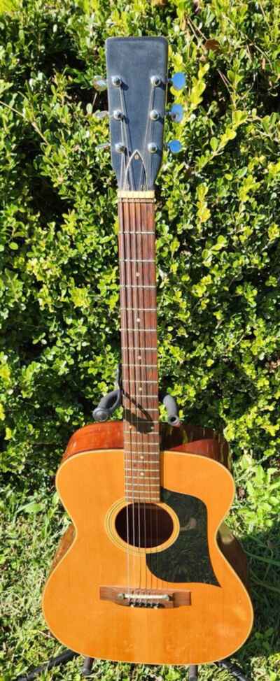 Vintage Sears Acoustic Guitar Model 319