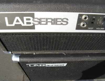 Vintage Lab Series L2 100 Watt Guitar Amplifier Head & Cabinet