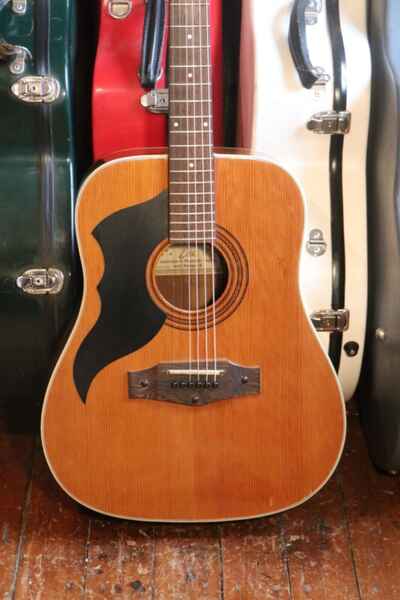 Vintage Left Hand Acoustic Guitar Eko Ranger VI 1982 + Pro Setup + LEFTY!