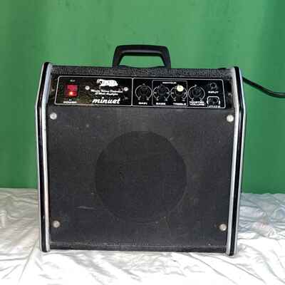 Vintage 1970s Badger Minuet 15 Watt Guitar Amplifier Working