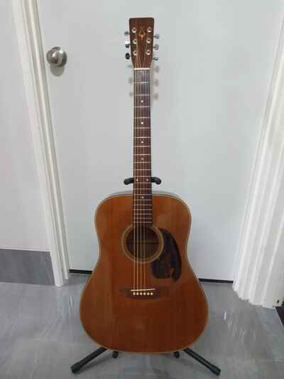 RARE DAION 1982 JUNIOR STEEL STRING  ACOUSTIC GUITAR WITH NEW MACHINE HEADS