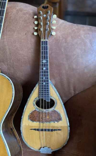 Mayflower Bowlback  Mandolin Pearl Top Chicago