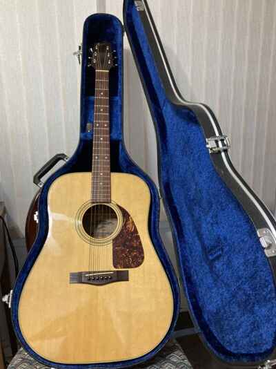 Fender acoustic / electric guitar with Hardcase - Model F-210 (1982)