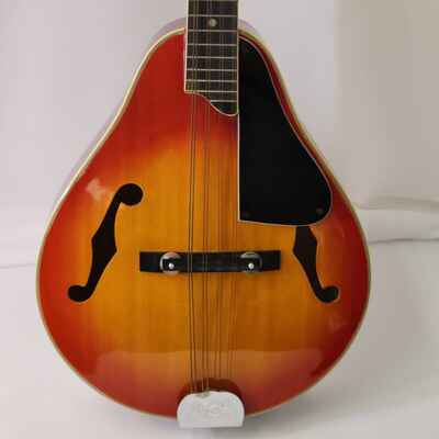 VINTAGE KAY MANDOLIN