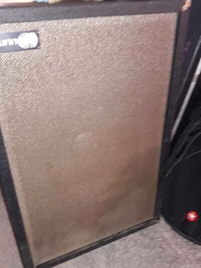 SUNN Single 15" cabinet 1965?