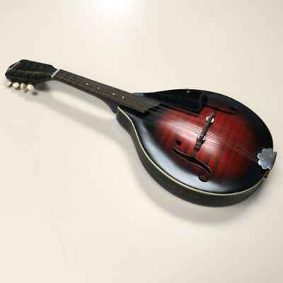 Vintage Harmony Monterey 8 String Mandolin
