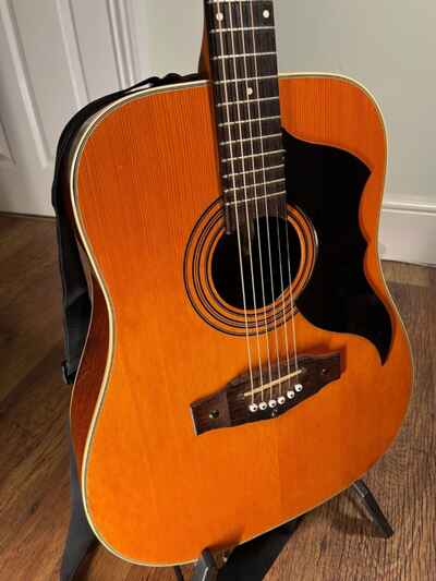 EKO RANGER VI - 6 String Acoustic Guitar (1960s  /  1970s)