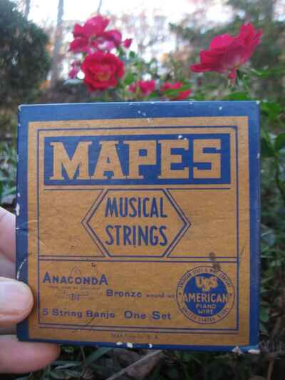 Vintage Mapes 8 Strings Banjo ( Strings 1, 2,3, 4,5 + and extra strings 1, 3, 5 )