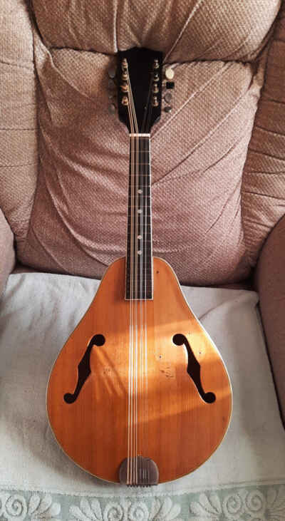 Vintage 1970s Harmony, Kay, ect. A- Style F-Holes Spruce Topped Mandolin