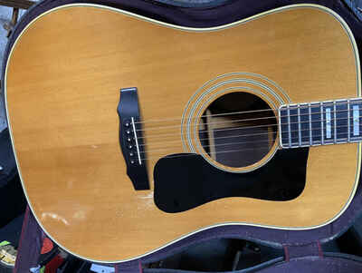 Guild D 55 NT 1979 - Natural