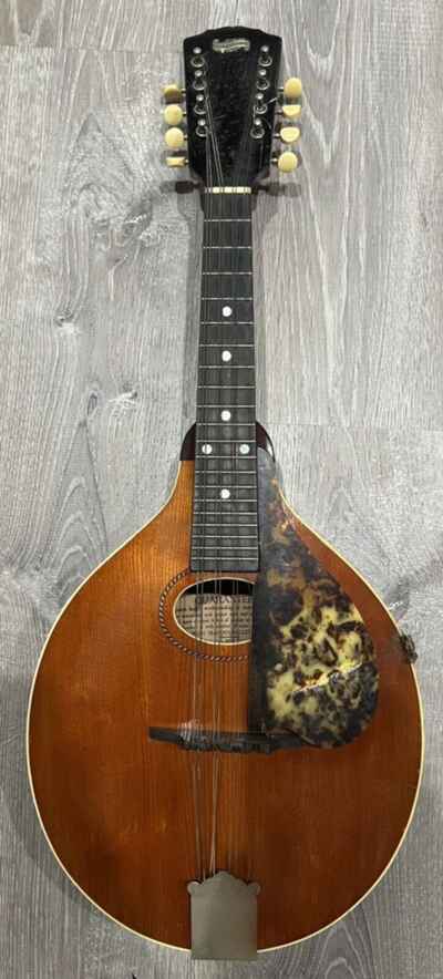 Antique Vintage 1898 1906 Gibson Mandolin A Style with Original Hard Carry Case