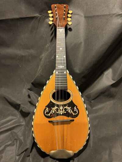 American Conservatory, Lyon & Healy Bowl Back Mandolin, Brazilian RW, PLAYER!!!