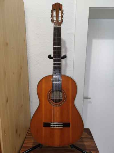 Gitarre Luna 1970 / 1980 Japan