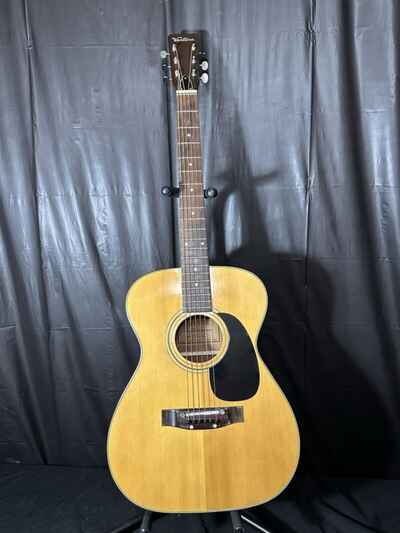 Ventura Acoustic Guitar V-10