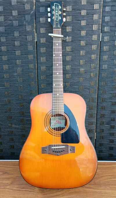 Eko Rio Grande VI 6 Acoustic Guitar