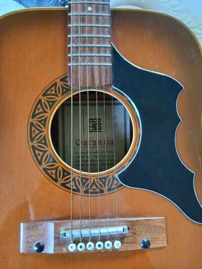 Eros Acoustic Guitar