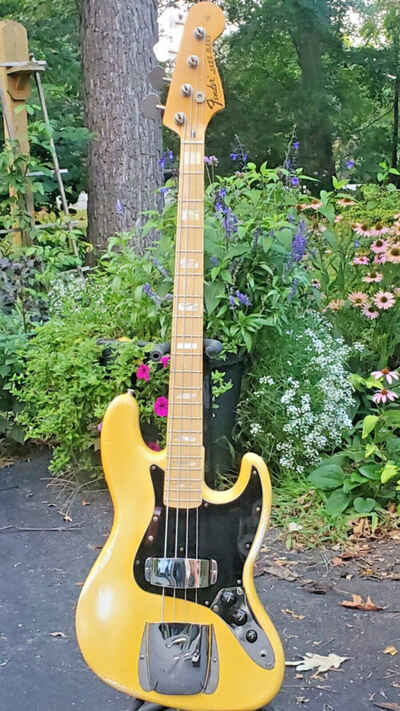 1975 Jazz Bass, Originally White, Three bolt;  All original except metal covers.