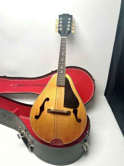 Vintage 8 String Handmade Mandolin (1970