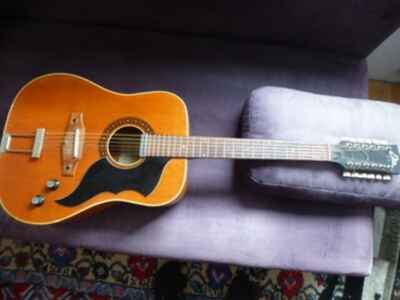 Alte Gitarre  EKO 12-saitig 12strings Guitar + PU + flightcase