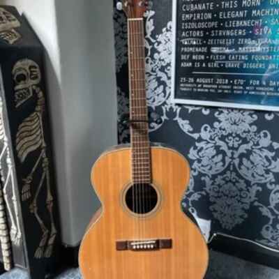 Aria The Sandpiper ASP-330N Acoustic Guitar