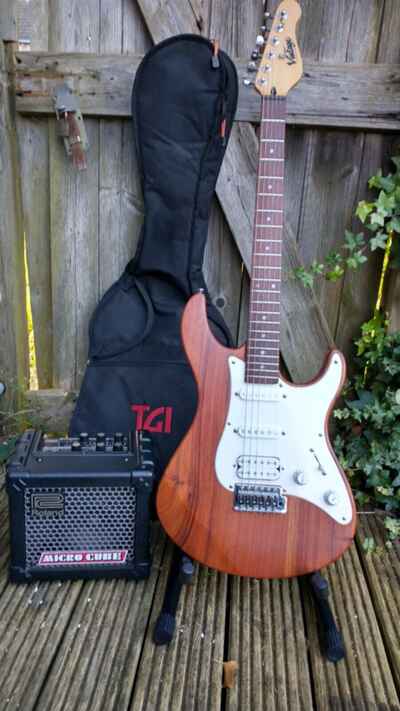 Guitar Bundle for Beginner - Vintage Guitar, Roland Micro Cube Amp & Accessories