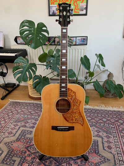 Aria Pro ii WH30N Acoustic guitar 1976 made in Japan, Gibson Hummingbird copy.