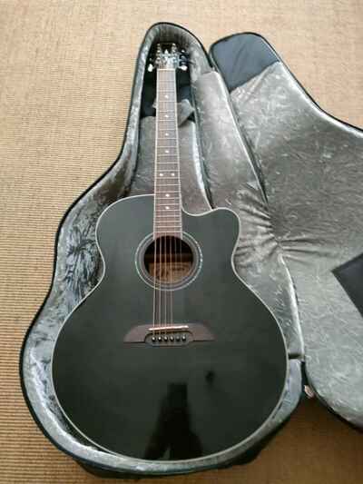 Framus Jumbo F-14 Black Akustik-Gitarre + Mojo Gigbag (regendicht)