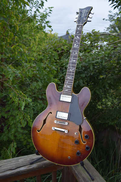 1977 Electra 2281 - Elvin Bishop -  Sunburst  ES335 Style - MIJ - OHSC