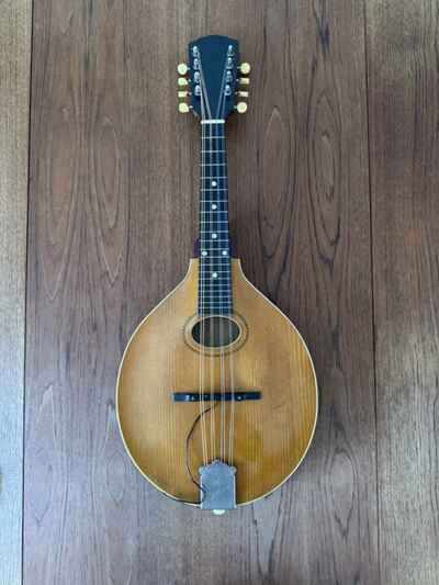 1920s Gibson A2 Junior Mandolin