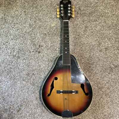 Vintage Hondo 2 Mandolin