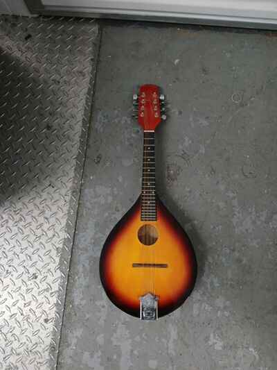 vintage mandolin