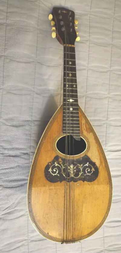 Vintage Bowl Back Mandolin 8 strings Restoration Project.