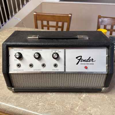 Vintage 1969 / 1970 Fender Echo-Reverb Guitar Amp Rare Old