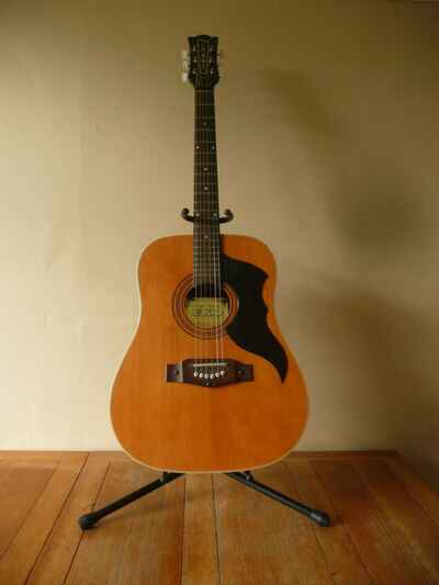 EKO Ranger 6 6-String Acoustic Guitar (made in Italy)