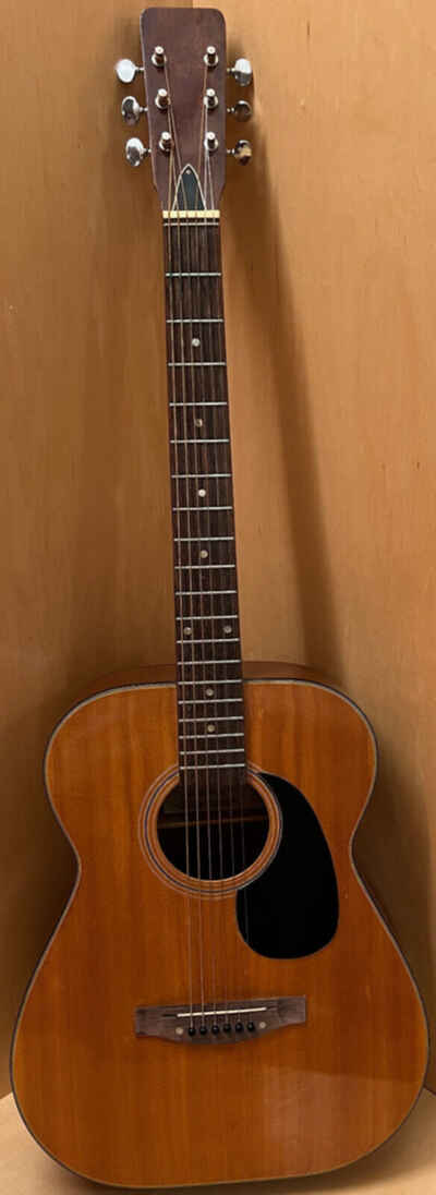 Aria Ariel Acoustic Guitar CW-01 Made in Japan