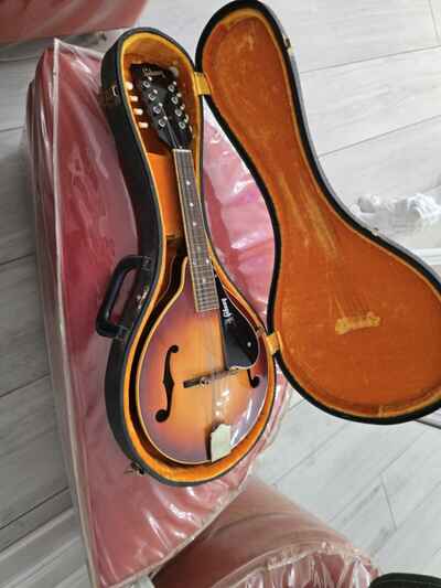 VINTAGE GIBSON MANDOLIN WITH CASE