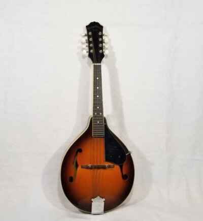 vintage hondo mandolin instrument with storage case