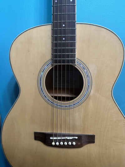 eko acoustic guitar used some dents