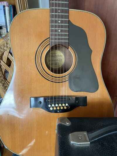 Shaftesbury 12 String Guitar with Squire Amp