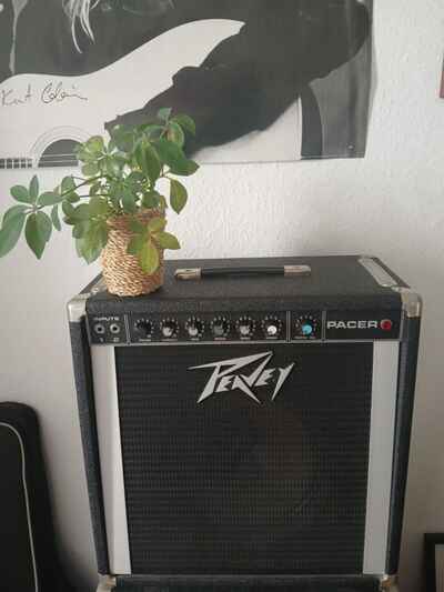 Peavey Pacer Vintage Amp Verstärker 1970 Gitarre Bass Combo 1x12 45 Watt