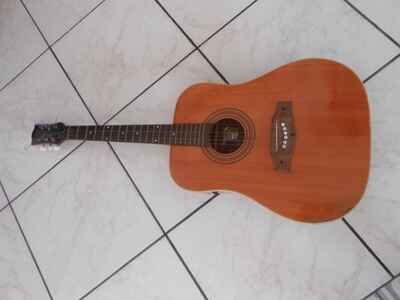 chitarra acustica eko ranger 6